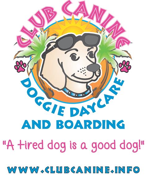 doggy daycare carmel|Dog Daycare